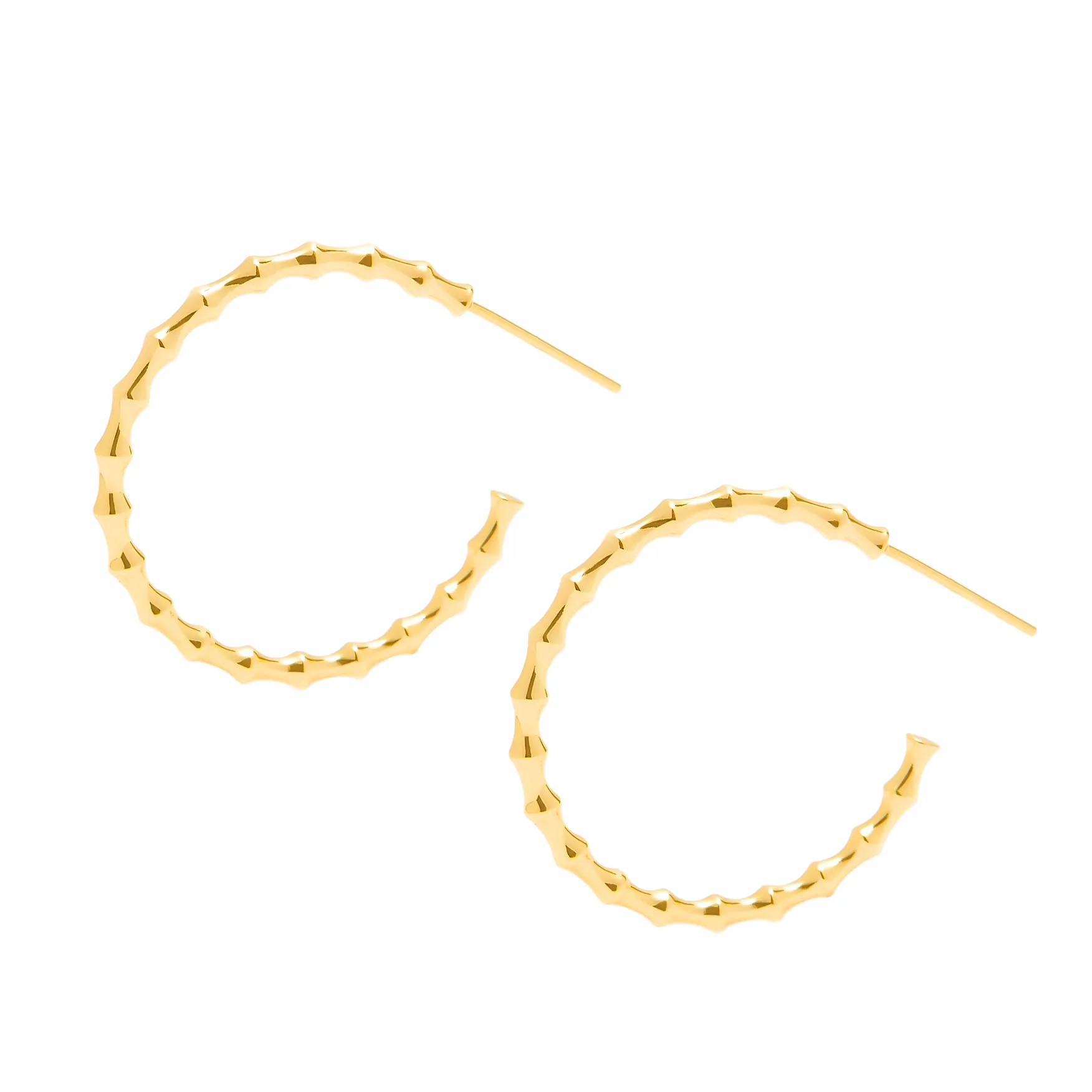 Ashlee Hoops
