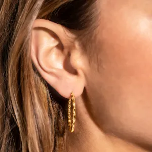 Ashlee Hoops