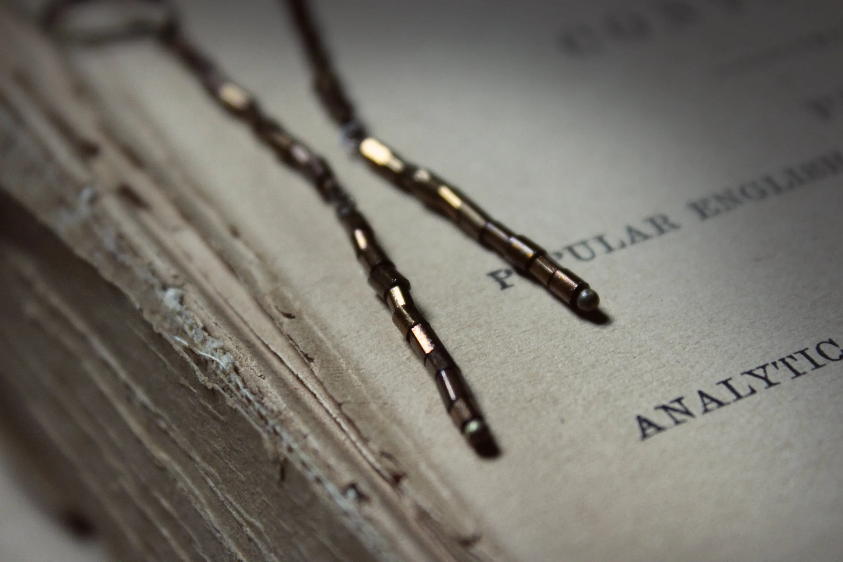 Branchlet. Rustic Metallic Copper Bronze Tube Bead Linear Earrings.