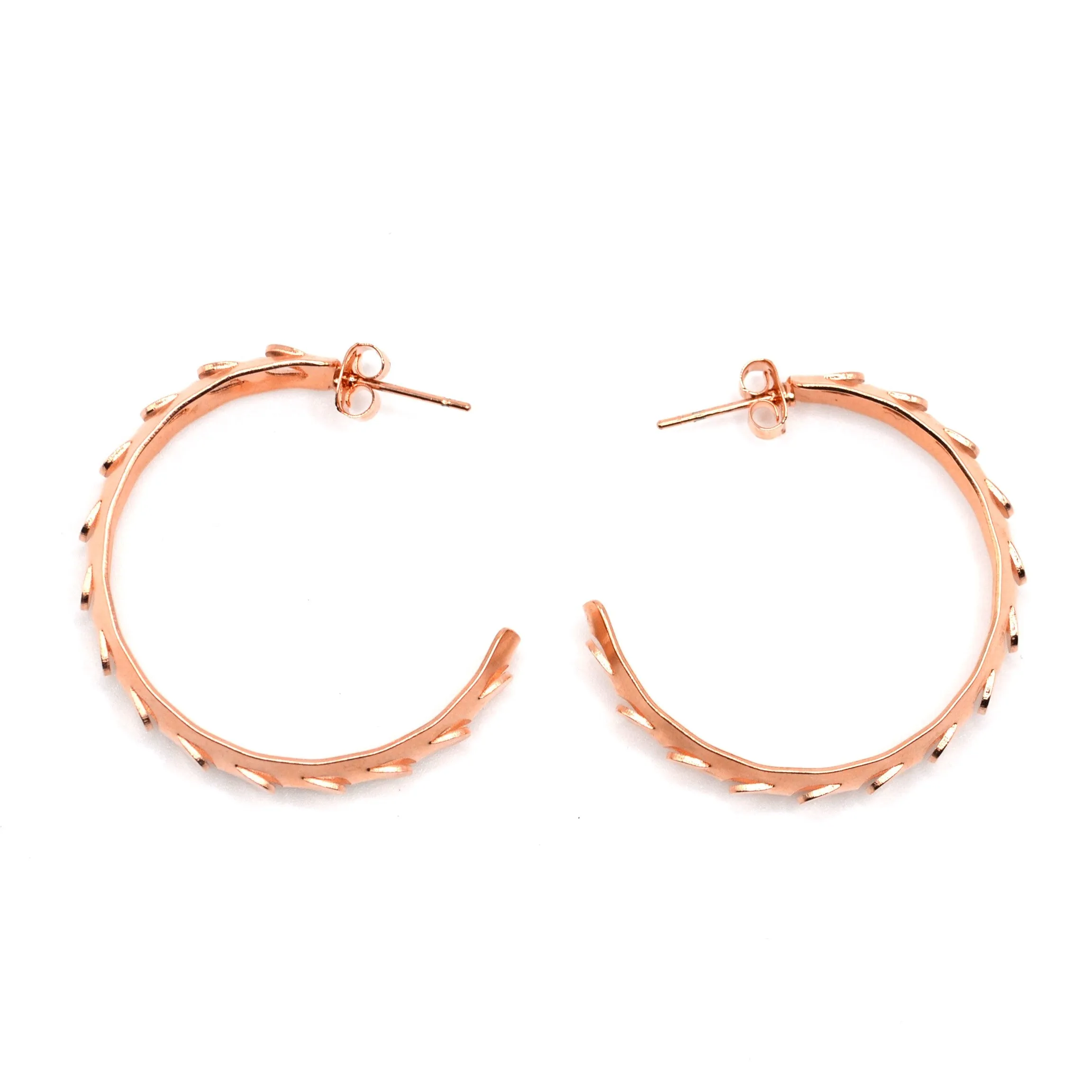 Celebration Earrings