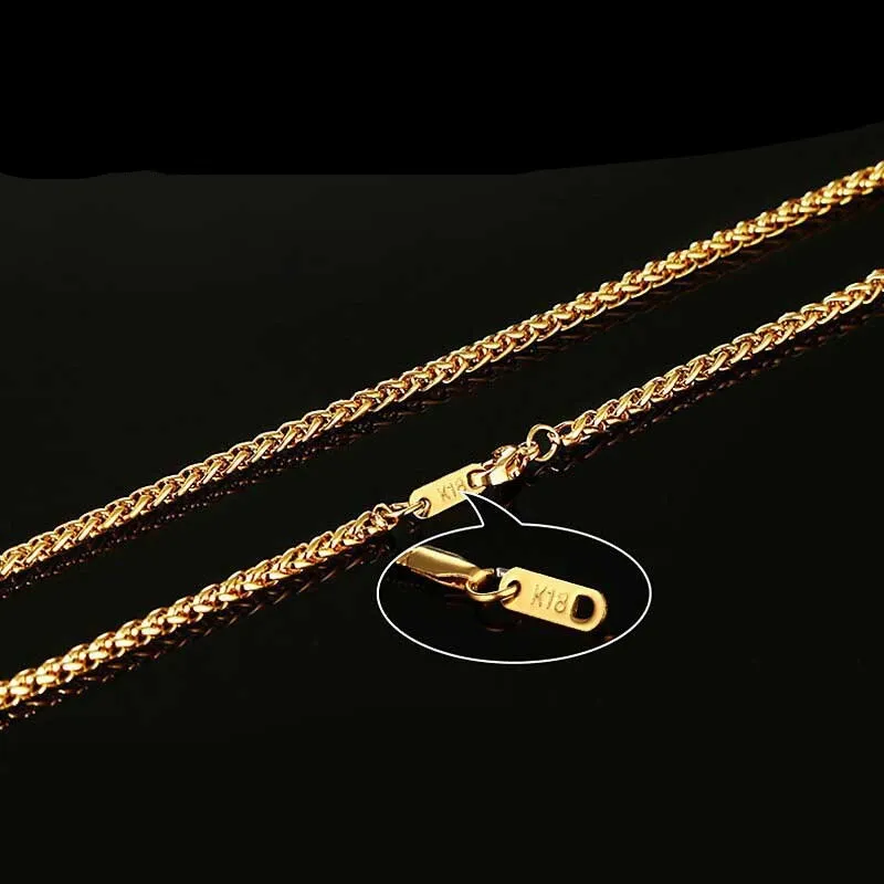 Gold Color Long Stainless Steel Necklace