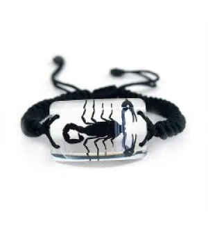 Real Black Scorpion Rectangle Shaped Bracelet Real Nature Gift With Box
