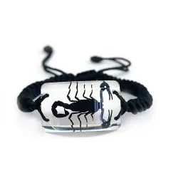 Real Black Scorpion Rectangle Shaped Bracelet Real Nature Gift With Box