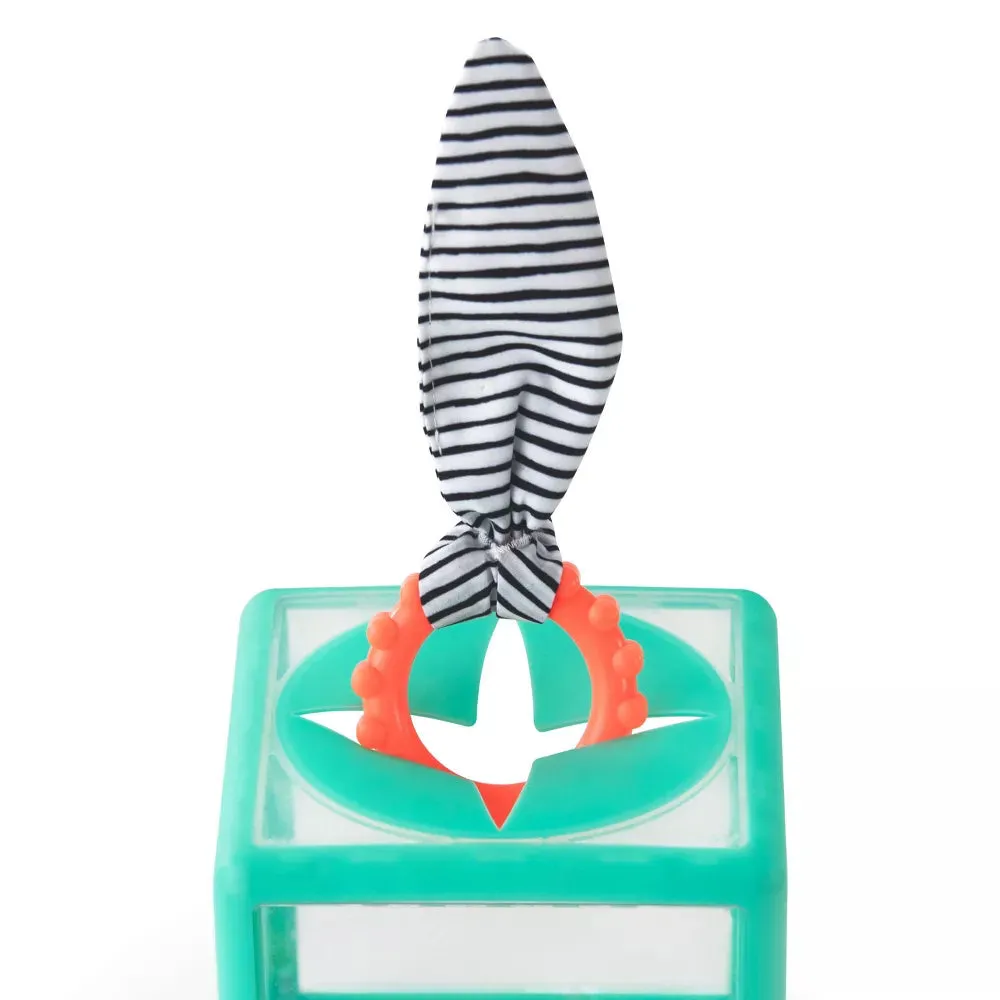 Sassy Baby Rainbow Ring Drop Stacking Toy