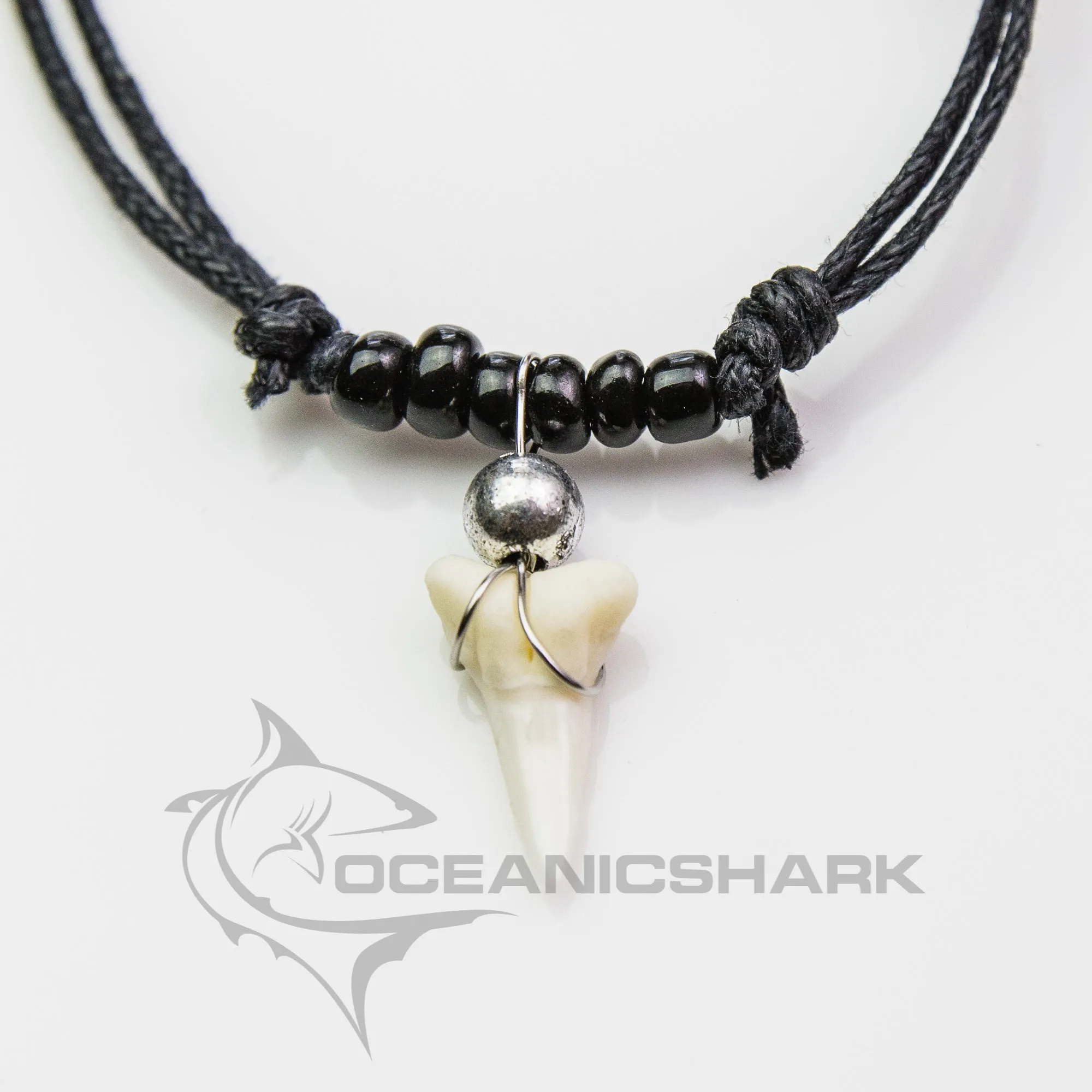 Shark tooth зубы акулы 鲨鱼牙 dente di squalo c128