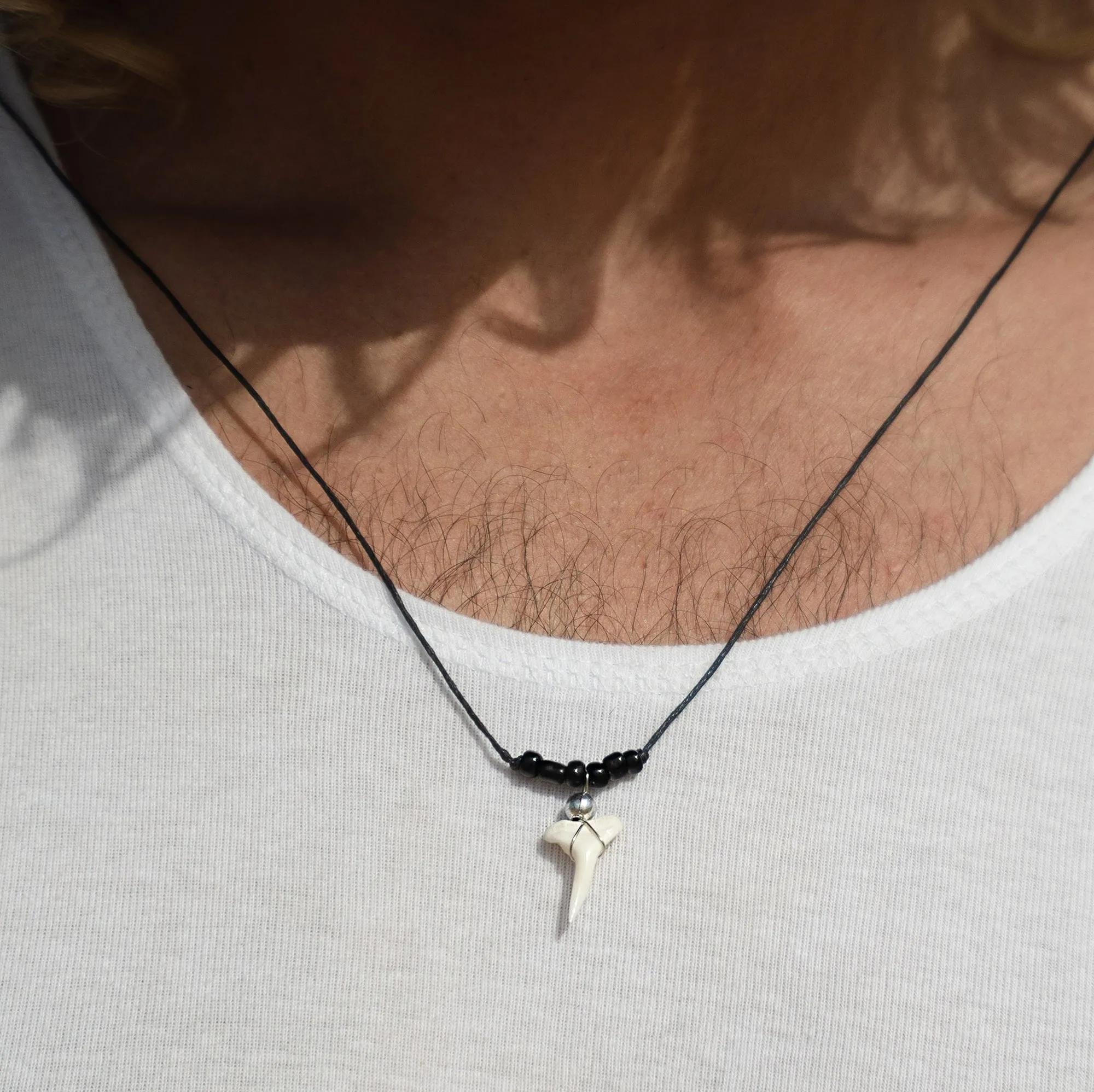 Shark tooth зубы акулы 鲨鱼牙 dente di squalo c128