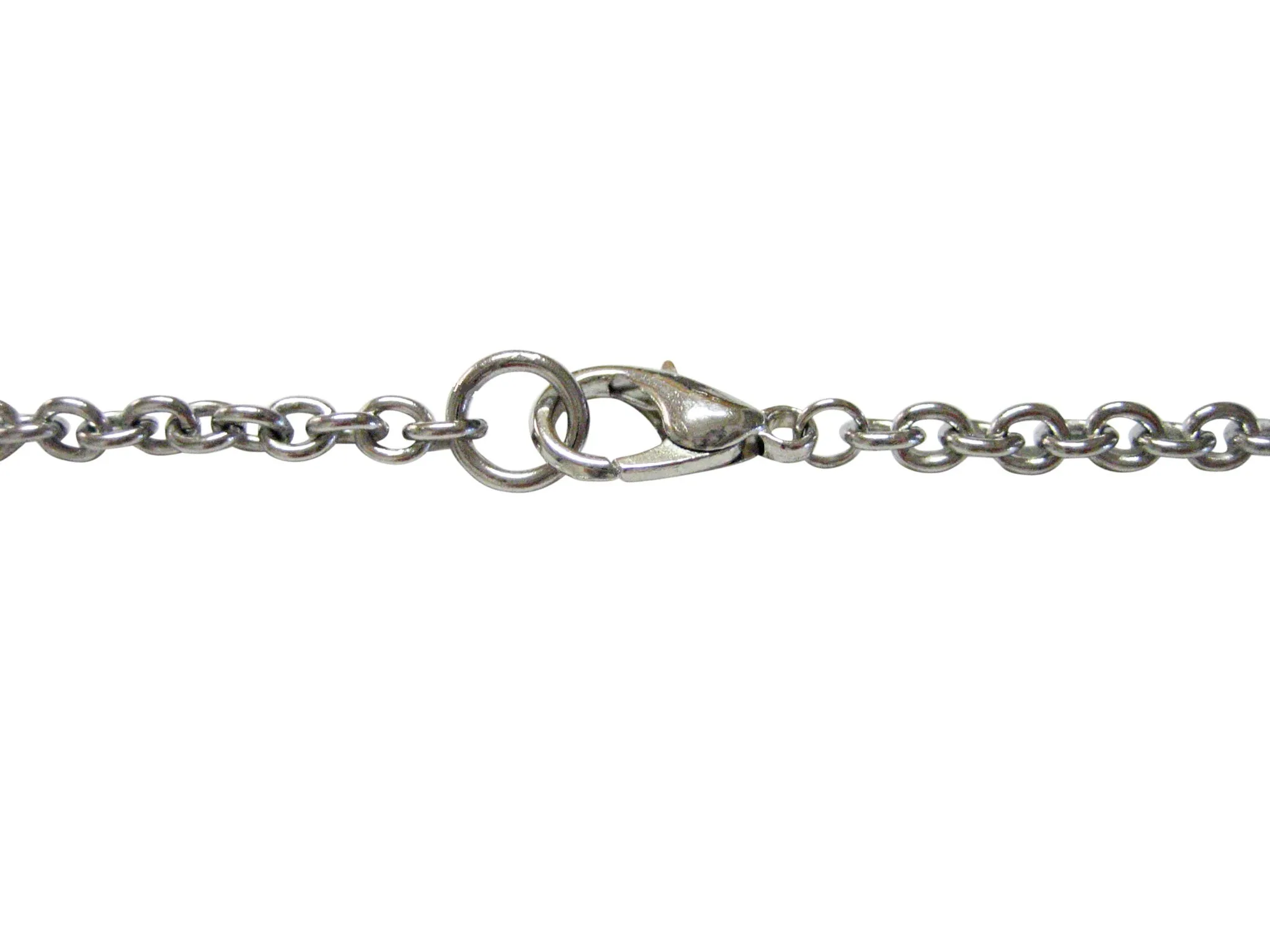 Silver Toned Etched Oval DNA Deoxyribonucleic Acid Molecule Pendant Necklace