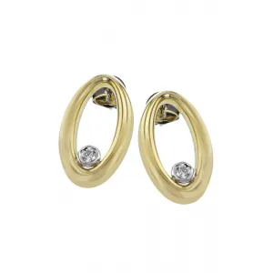 Zeghani Earrings Ze868