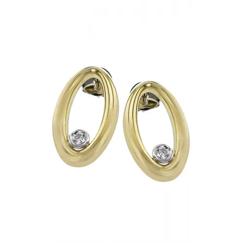 Zeghani Earrings Ze868